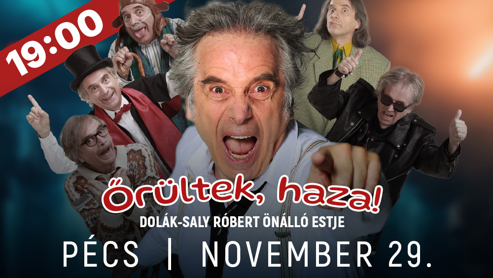 DSR: Őrültek, haza! belépőjegy 2.kat. 2025.11.29. 19:00